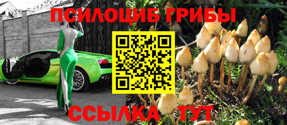 Галлюциногенные грибы MAGIC MUSHROOMS  Вход с VPN  Псилоцибиновые грибы Cubensis  Губкин 