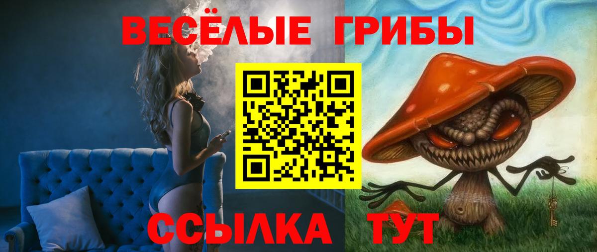 Галлюциногенные грибы MAGIC MUSHROOMS Губкин
